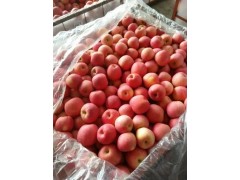 今日山東紅富士蘋果產地直銷價格