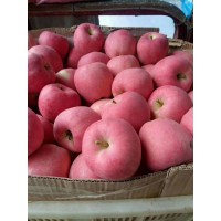 膜袋红富士苹果价格，纸袋红富士苹果价格，纸夹膜红富士苹果价格