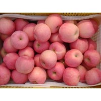 大荔县红富士苹果基地 红富士苹果产地价格