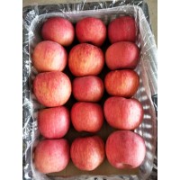 洛川紅富士蘋果出庫最新價格/陜西洛川冷庫紅富士蘋果產地