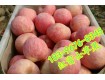 山东红富士苹果今日批发多少钱-山东苹果产地价格行情