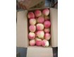 中国水果 最新价格红富士苹果产地批发价格 山东美八苹果
