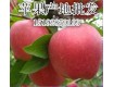 沂南红星苹果现已大量上市了、产地批发价格