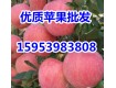 红星苹果基地红将军苹果大量供应15953983808