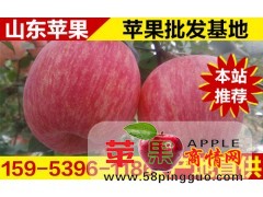 今年《紅富士蘋果》產地最新價格報價