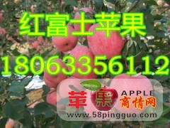 山东苹果哪里价格便宜日照红富士苹果供应