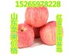 山东苹果基地红富士苹果直销价格