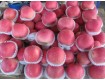元旦陕西膜袋红富士苹果70以上批发价格0.65-0.7元