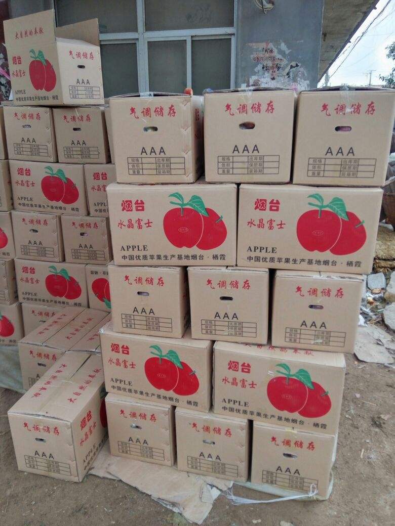 山東水晶紅富士蘋果產地大量供應15954021018