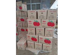 山东水晶红富士苹果产地大量供应15954021018