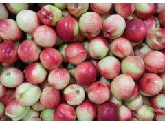 2018年油桃，红富士苹果价格，农民10年难遇