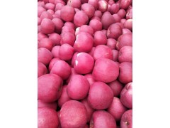 2021年甘肃泾川中国苹果之乡红富士苹果大量上市中